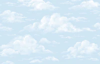 Airy Cloudscape Decor wallpaper