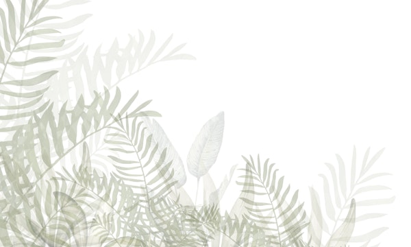 Botanical Leaf Aesthetic