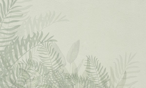 Lush Nature Scene