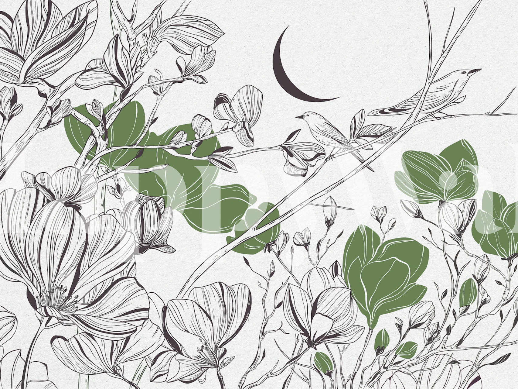 Birds on Branches Ink Florals tapet
