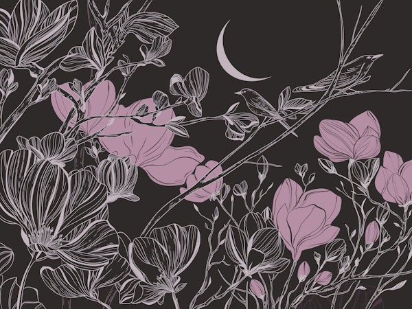 Midnight Garden Pink Blooms