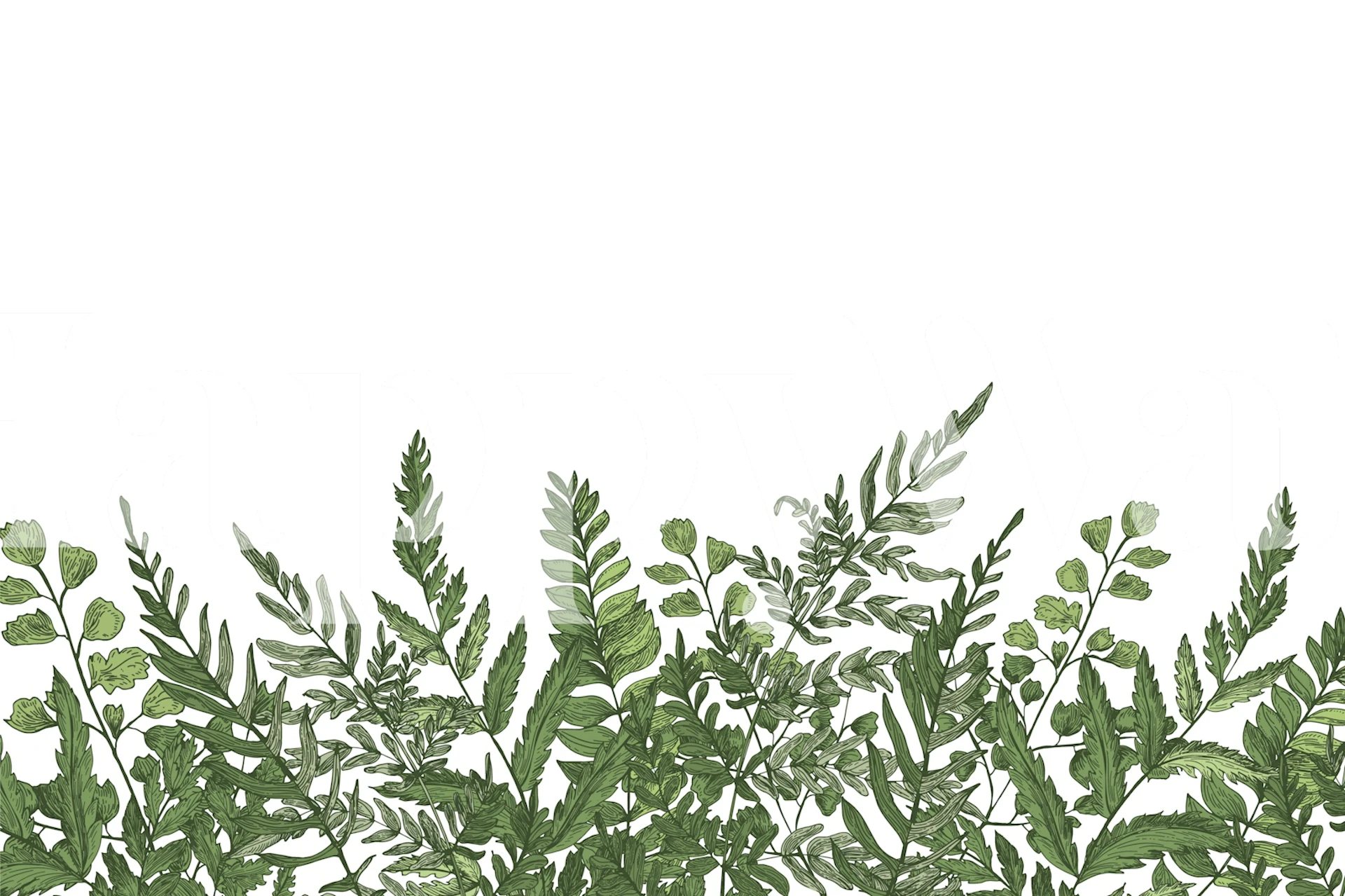 Serenity in Greenery wallpaper in a room
