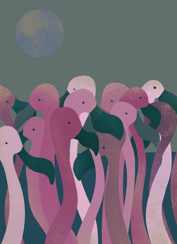 Tropical Pink Flamingos
