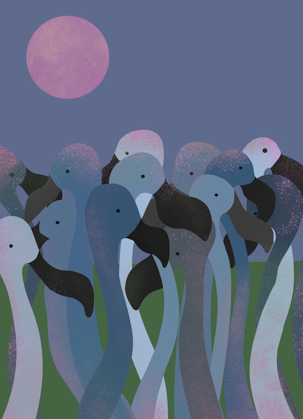 Tropical Night Flamingos