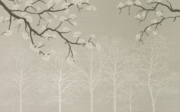 Serene Tree Silhouettes