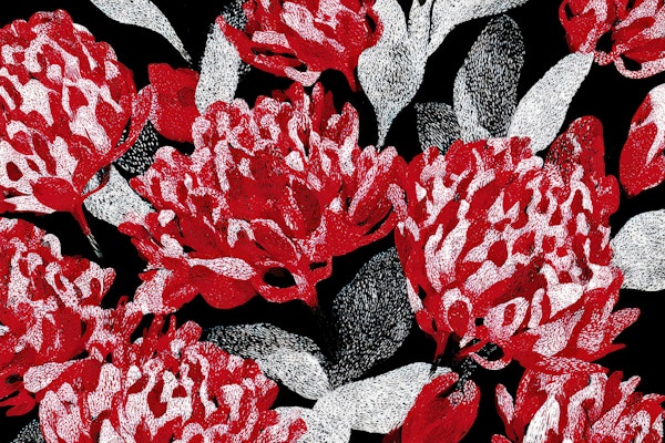 Bold Red Floral Contrast