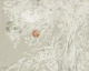 Minimal Bamboo Leaves Beige
