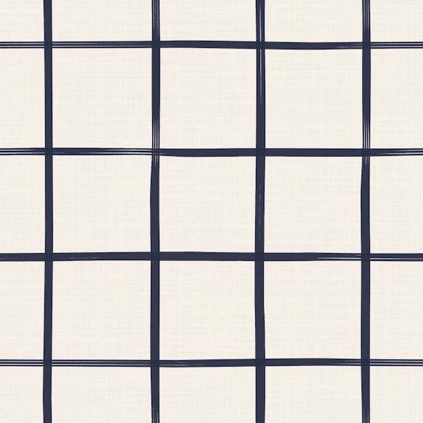 White Navy Blue Small Check