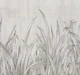 lying in the grass warm grey