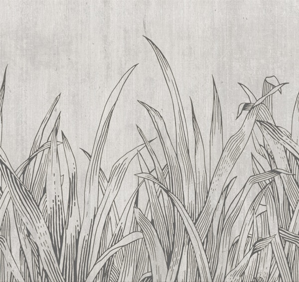 lying in the grass warm grey