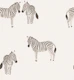 Safari Zebras - Warm Black and White