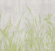 lying in the grass Lime green