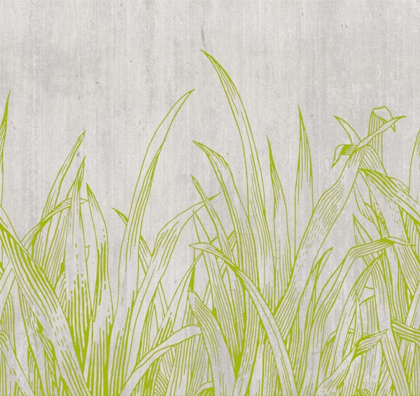 lying in the grass Lime green