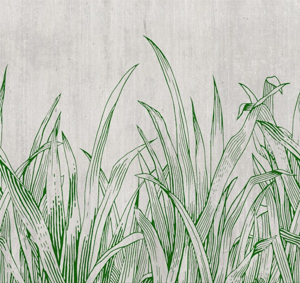 lying in the grass forest green