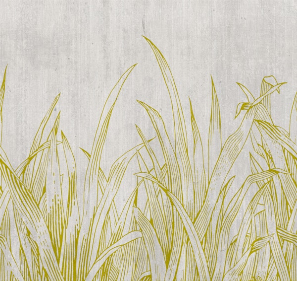 lying in the grass Gold