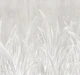 lying in the grass White