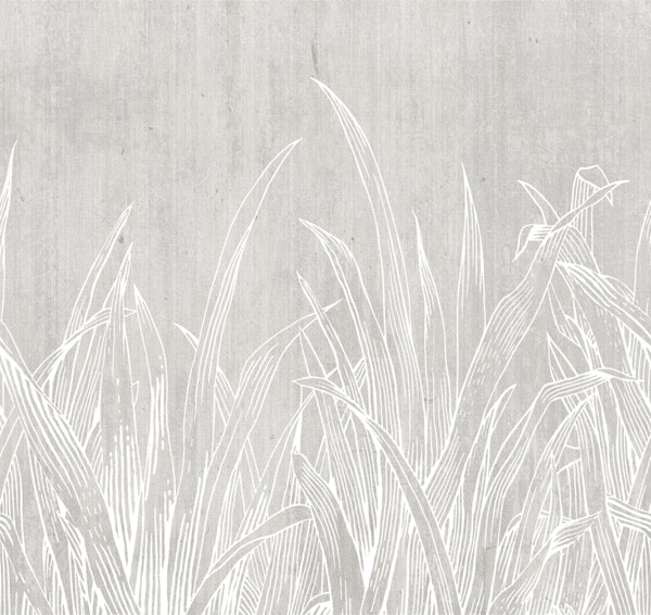 lying in the grass White