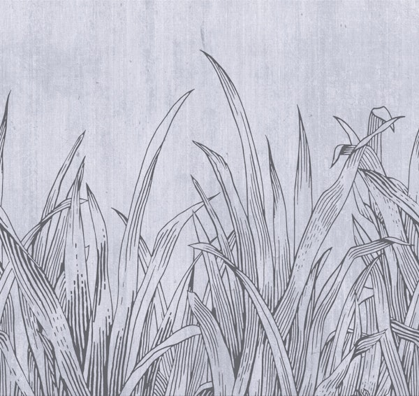 lying in the grass cold grey