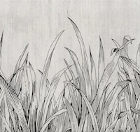 lying in the grass black tapeta
