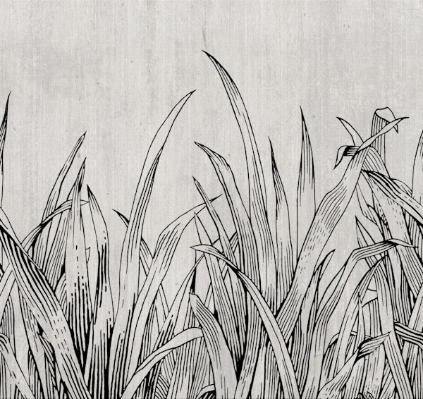 lying in the grass black