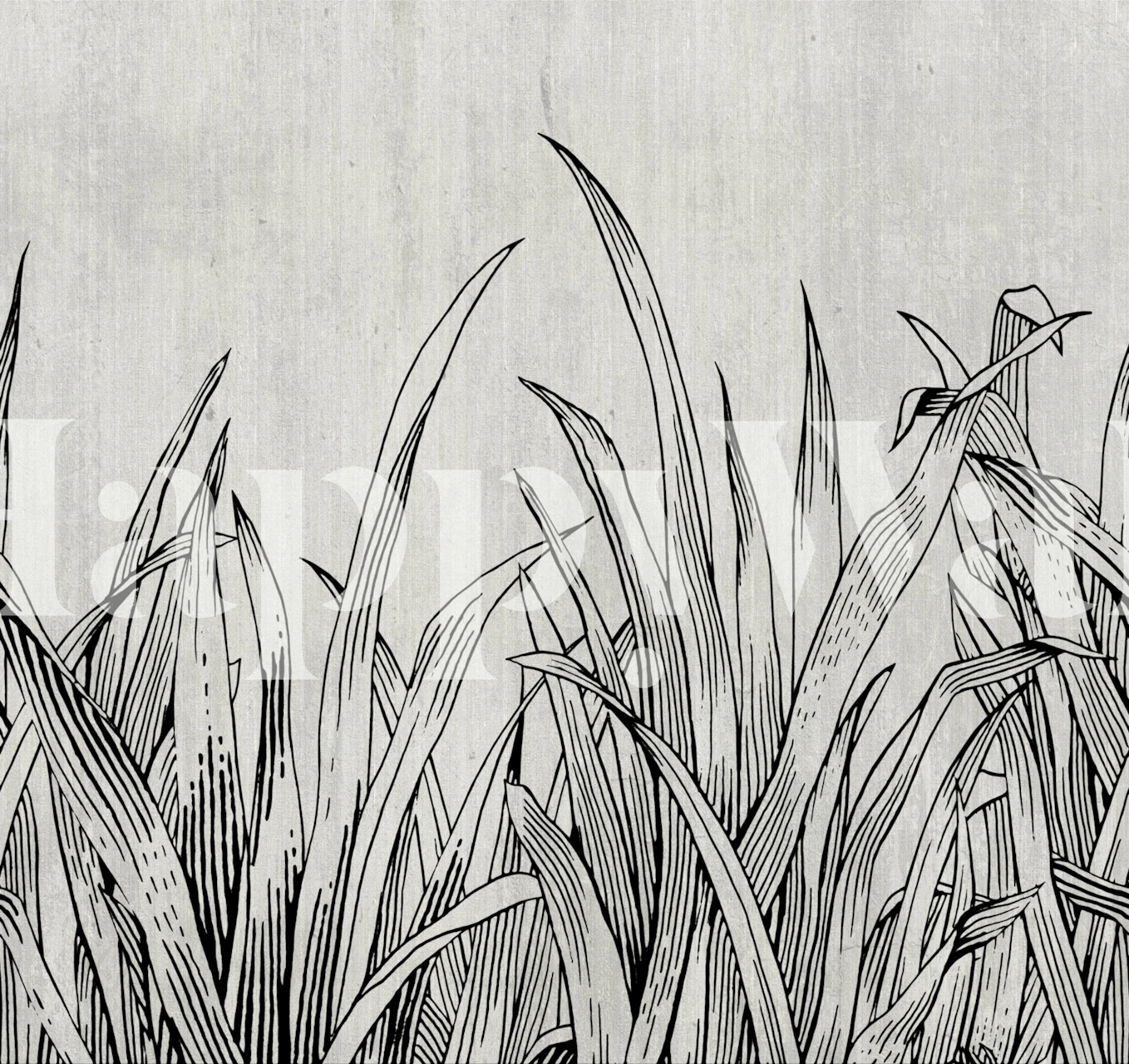 Lying in the grass black behang