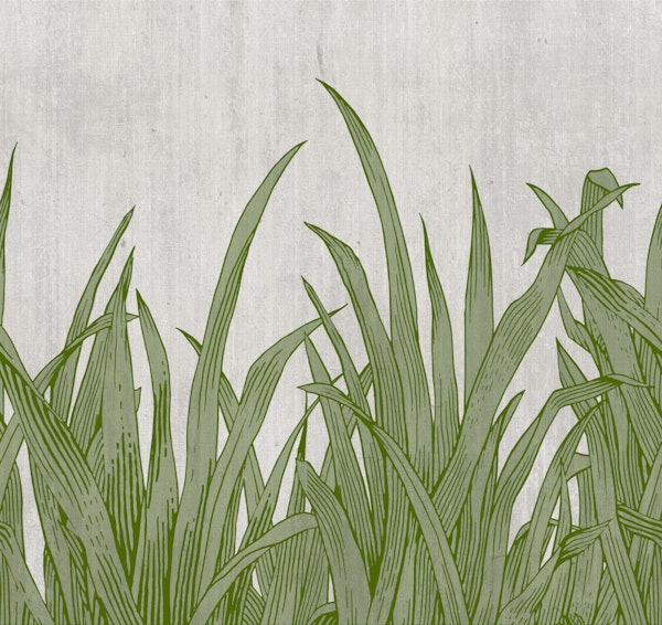 lying in the grass 02