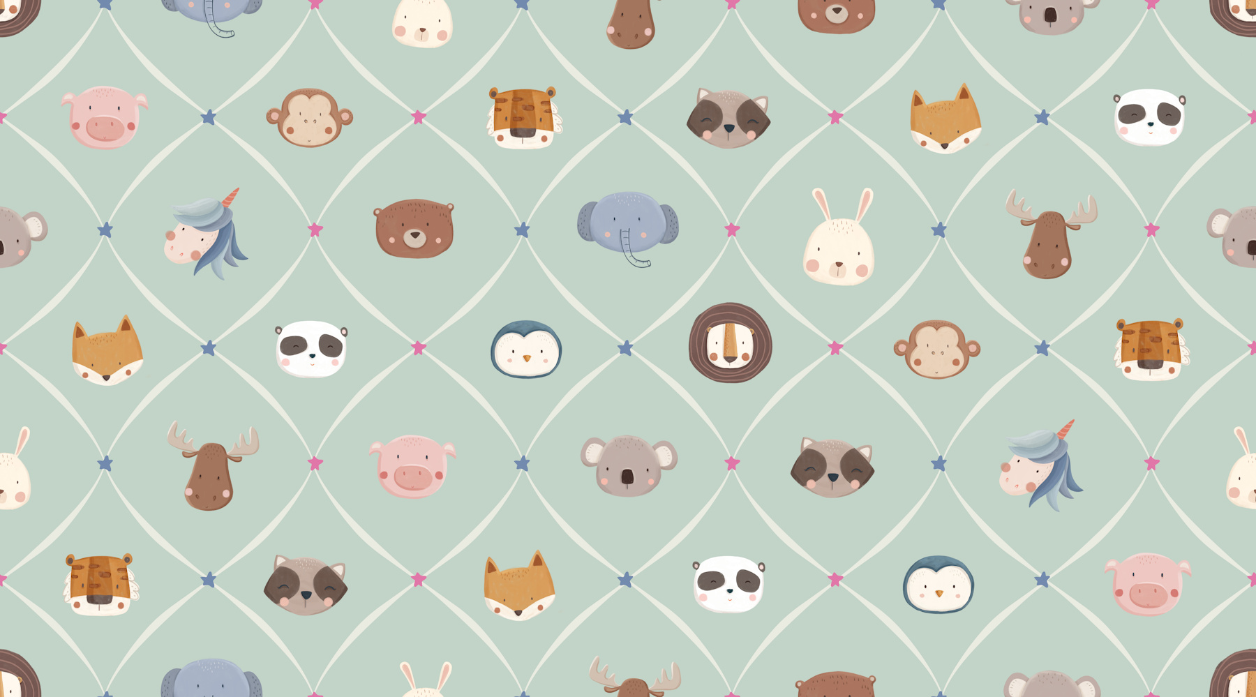 raccoon