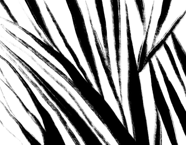Modern Jungle Leaves