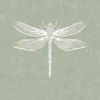 Vintage Dragonfly & Foliage - Sage Green wallpaper