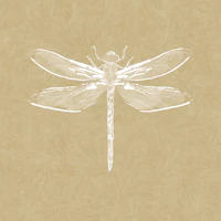 Vintage Dragonfly & Foliage - Honey Yellow wallpaper