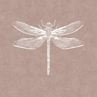 Vintage Dragonfly & Foliage - Soft Terracotta wallpaper