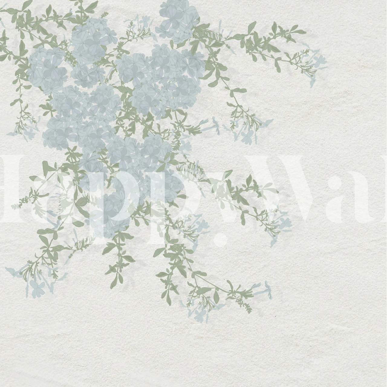 Plumbago Floral Branches on Whitewashed Wall wallpaper