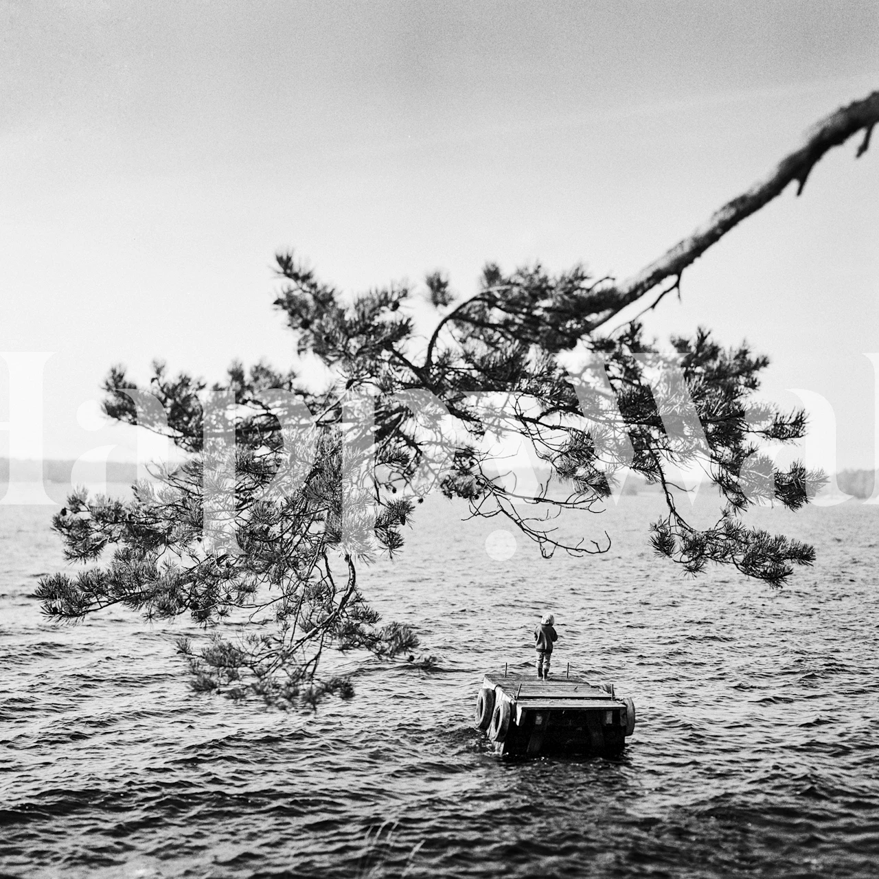 Black and white boy standing on a jetty with a tree branch wallpaper