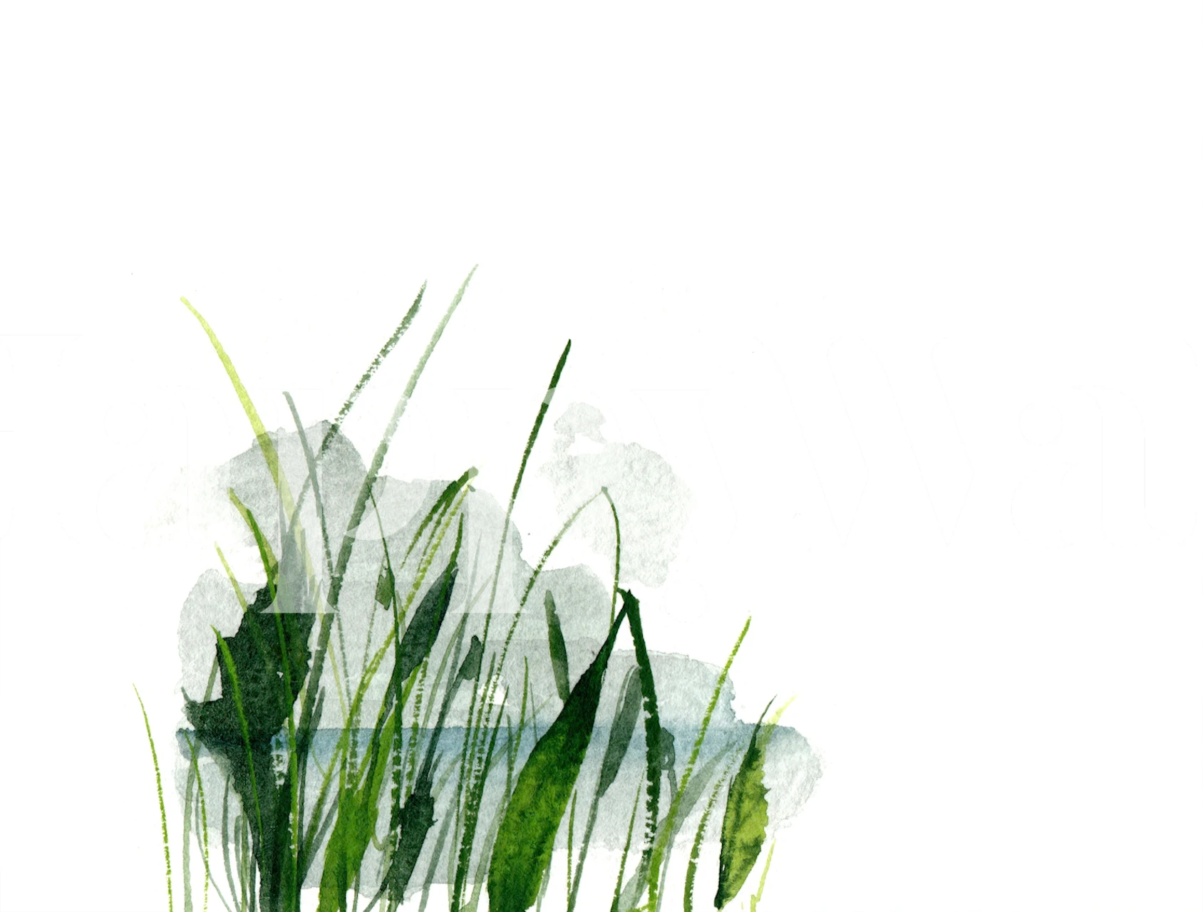 Wild grass wallpaper design in a room setting