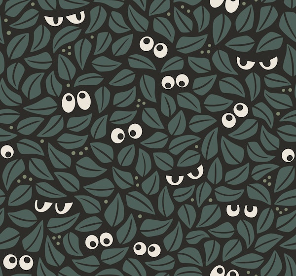 hide and seek