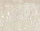 Wildflowers and Dragonflies in Beige