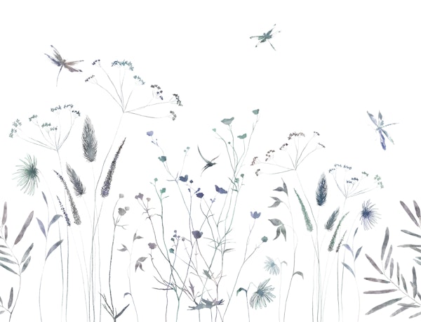 Wildflowers and Dragonflies on White