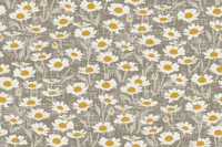Daisy field on taupe brown tapeta