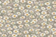 Daisy field on taupe brown