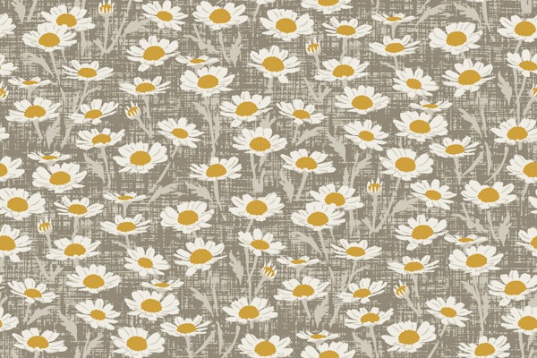 Daisy field on taupe brown