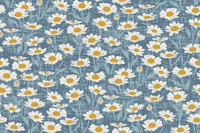 Daisy field on muted blue tapeta