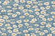Daisy field on muted blue