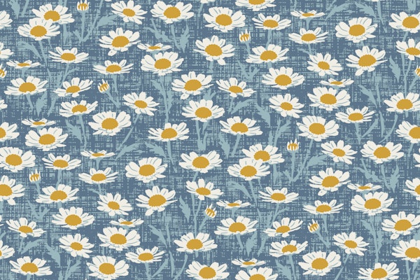 Daisy field on muted blue