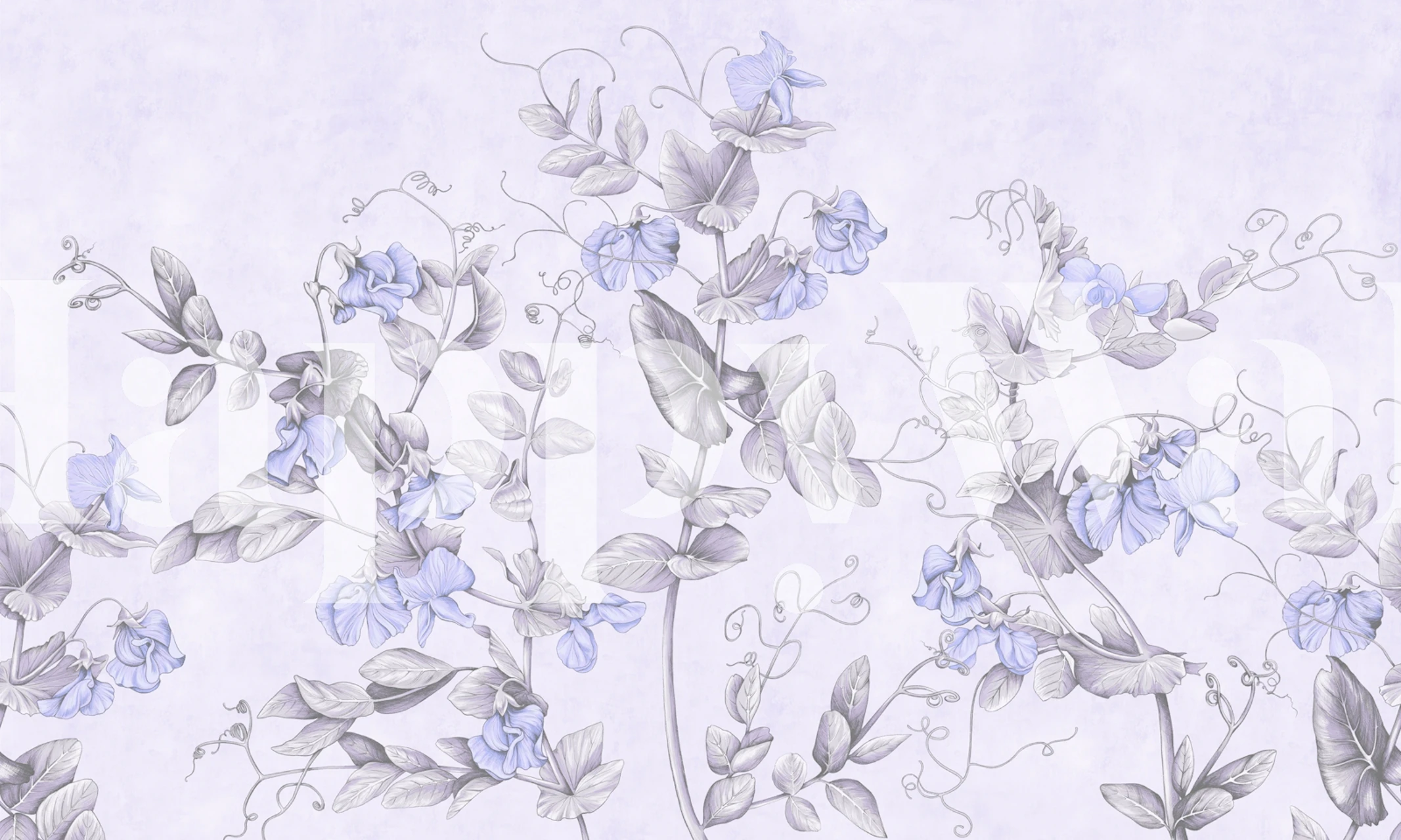 Graphic flowers 6 tapete istabā