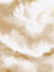 Calm Cream Clouds with White Egrets