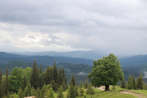 Misty Mountain Valley View