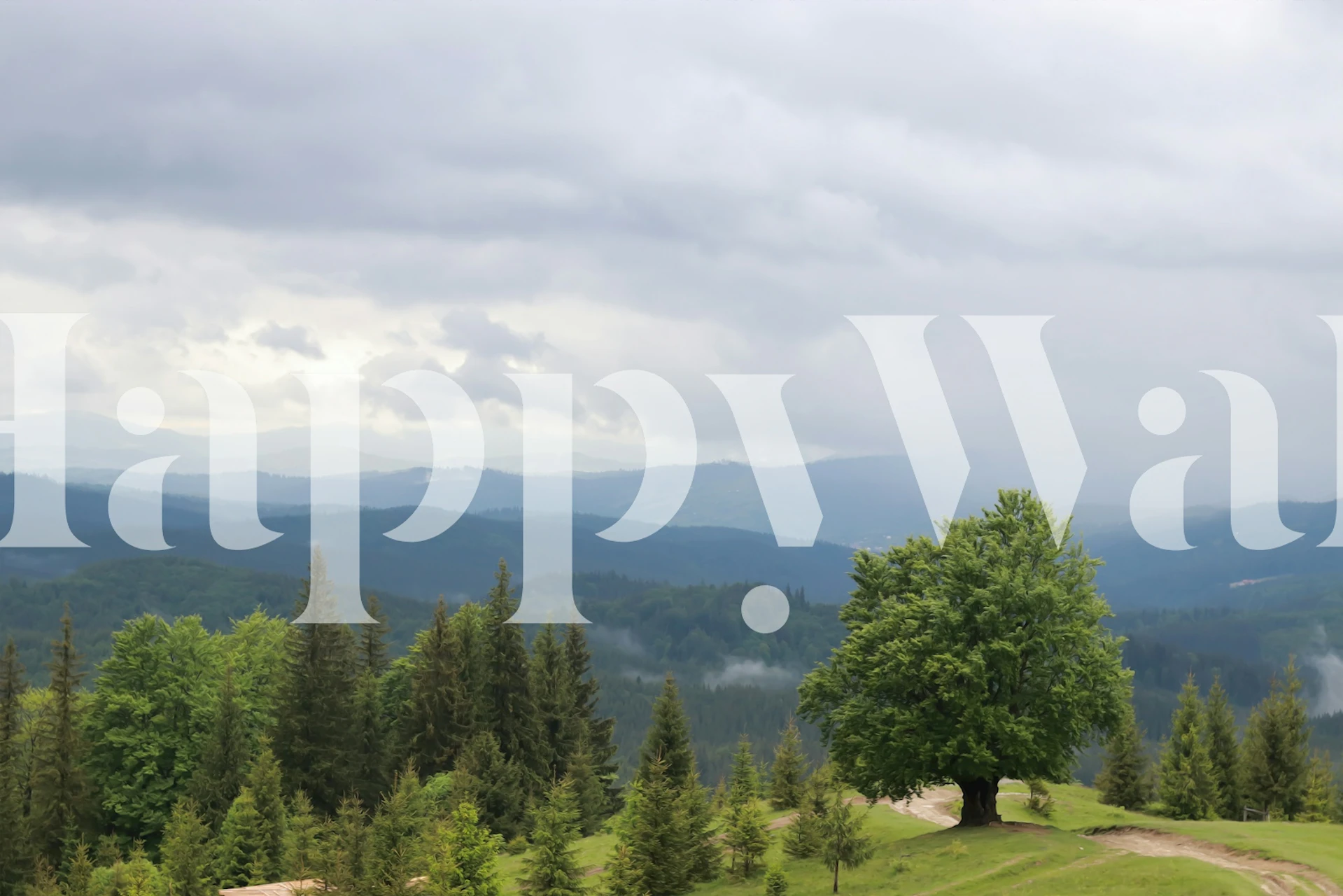 Misty Mountain Valley View tapet