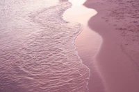 Pink Caribbean Shoreline Waves 1 tapete