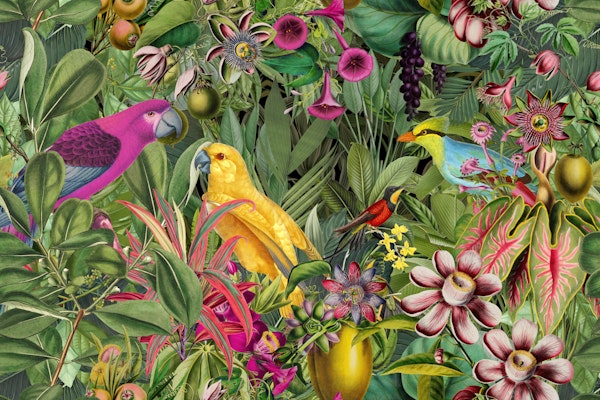 Exotic Tropical Flora and Parrots