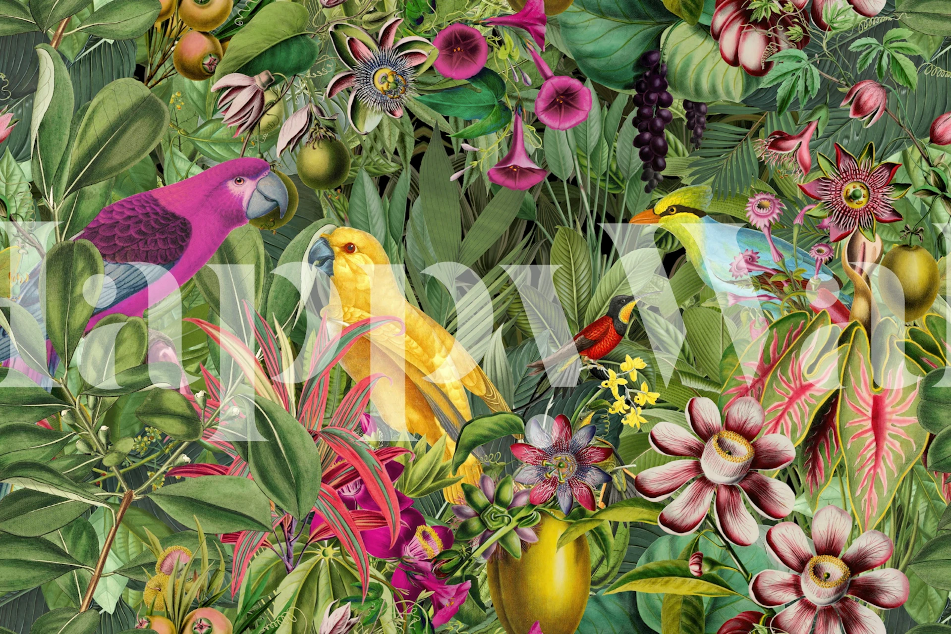 Exotic Tropical Flora and Parrots wallpaper in a room